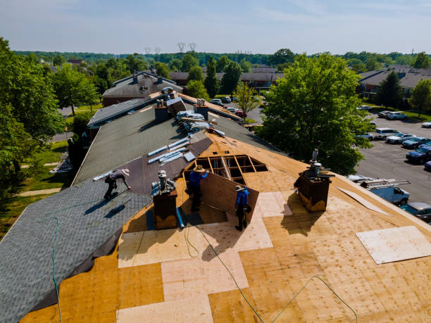 Best Roof Restoration Services  in Hollins, VA