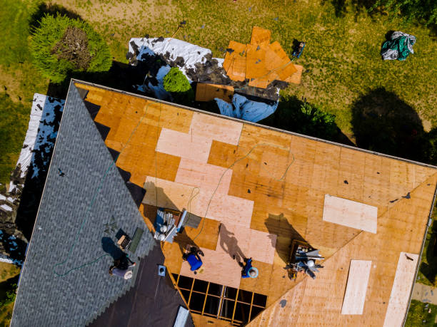 Best Roof Waterproofing Services  in Hollins, VA