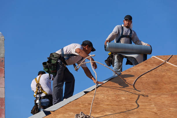 Best Flat Roof Repair Services  in Hollins, VA