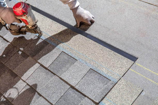 Best Roof Maintenance Services  in Hollins, VA