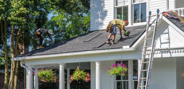 Best Roof Gutter Cleaning  in Hollins, VA